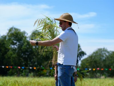 SS Rice News Convention 2025, Pattaya - Thailand